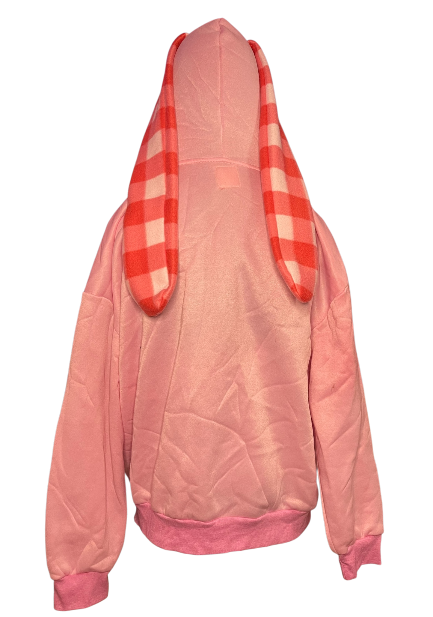 Strawberry Picnic! Bunny Hoodie