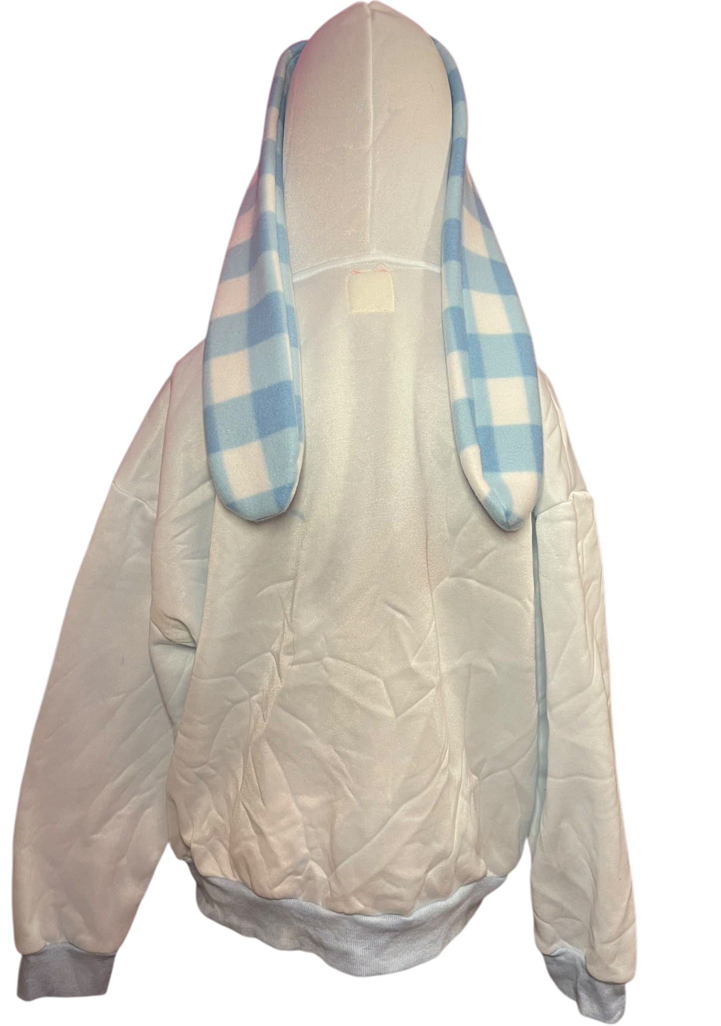 Blueberry Picnic! Bunny Hoodie